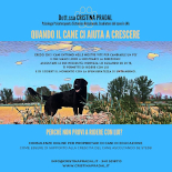 Quando il cane ci aiuta a crescere